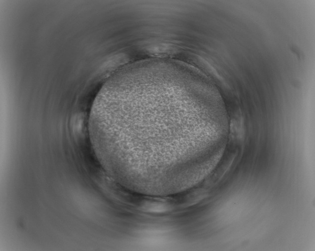 X0000113310671200910051105