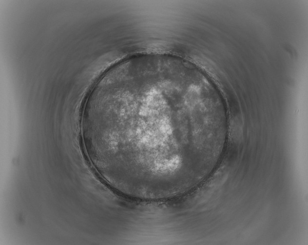 X0000113310673200910051105