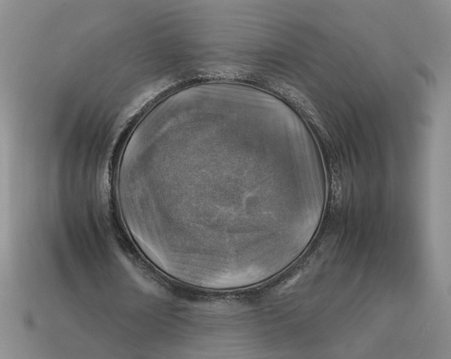 X0000113310674200910051105