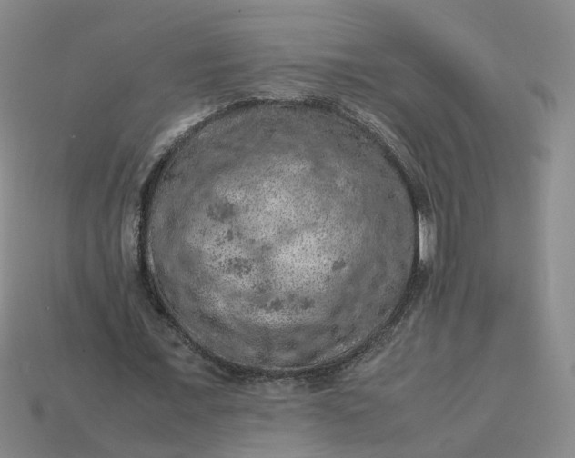 X0000113310675200910051105