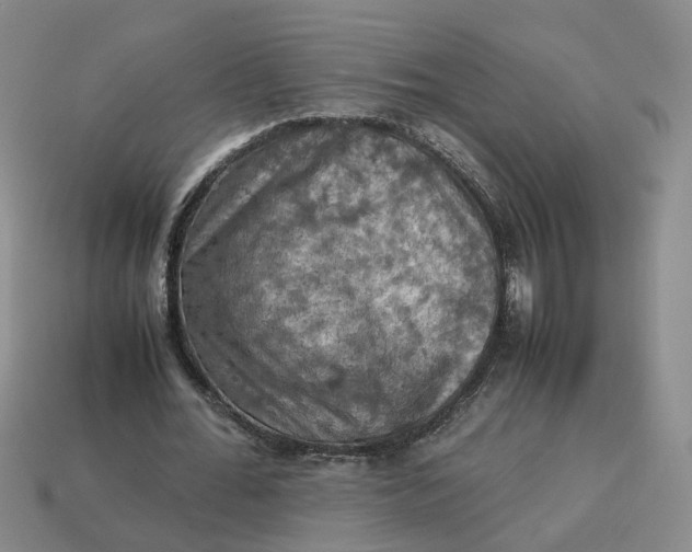 X0000113310676200910051105