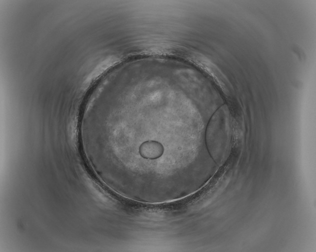 X0000113310677200910051105