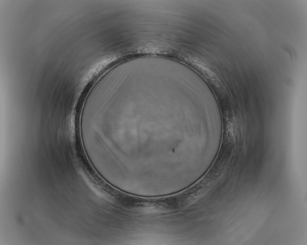 X0000113310678200910051105