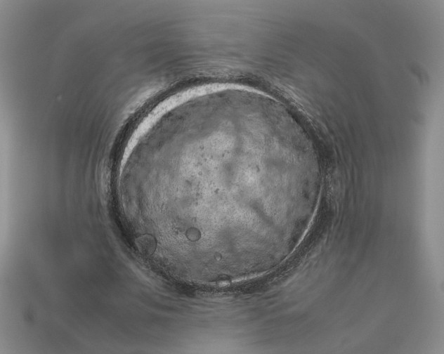 X0000113310679200910051105