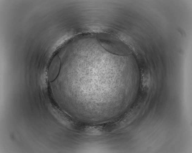 X0000113310680200910051105