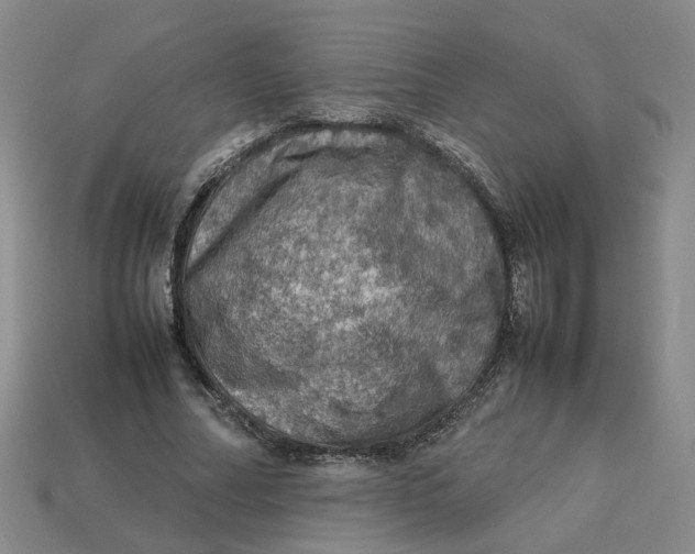 X0000113310682200910051105