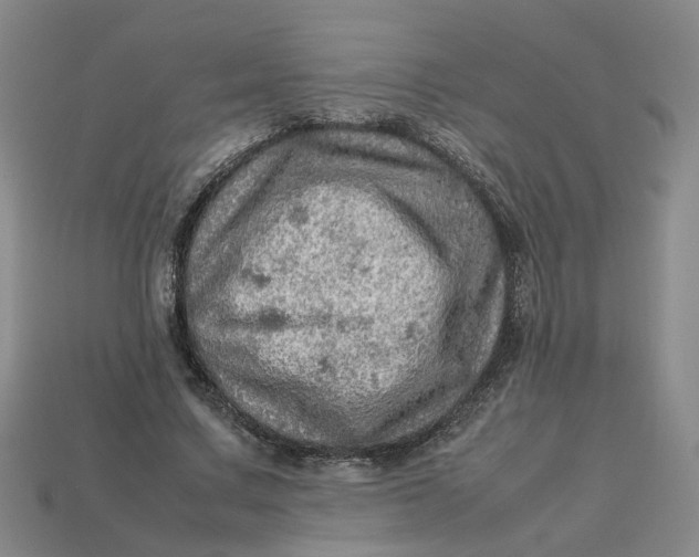 X0000113310683200910051105