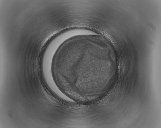 X0000113310684200910051105