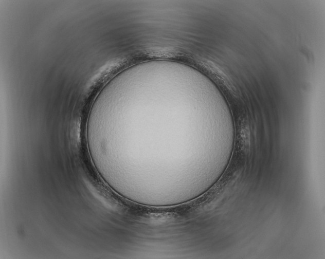 X0000113310686200910051105