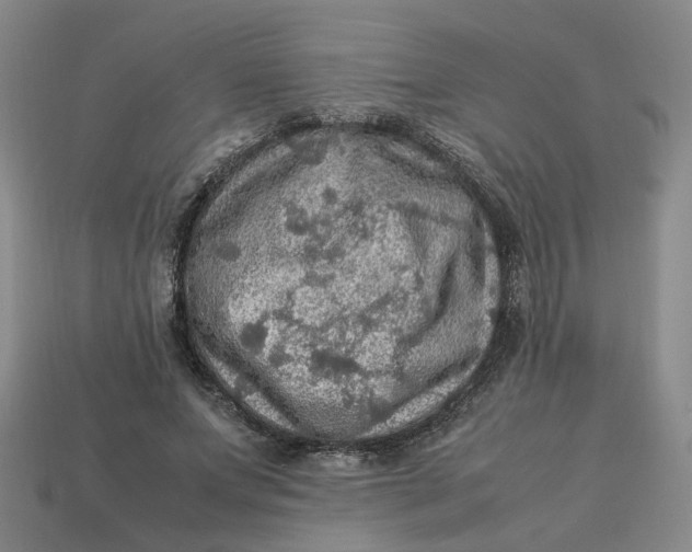 X0000113310687200910051105