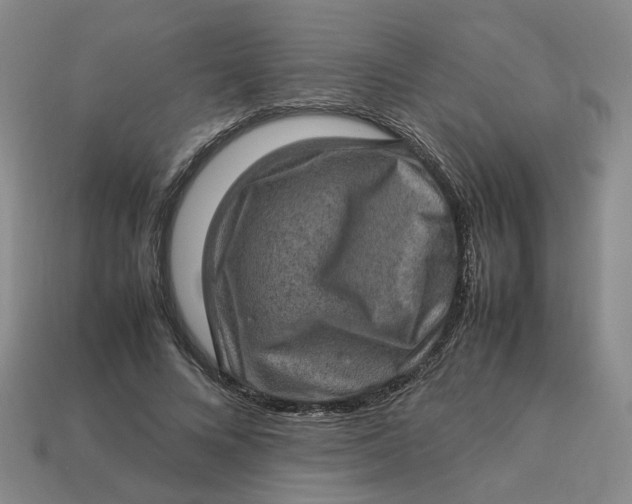 X0000113310688200910051105