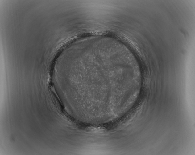 X0000113310689200910051105