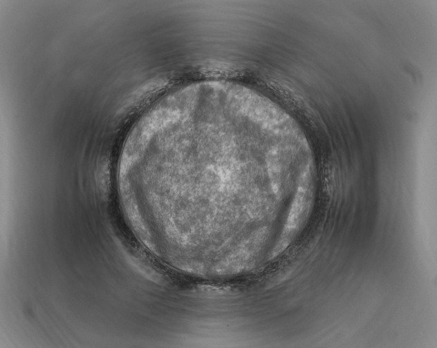 X0000113310690200910051104