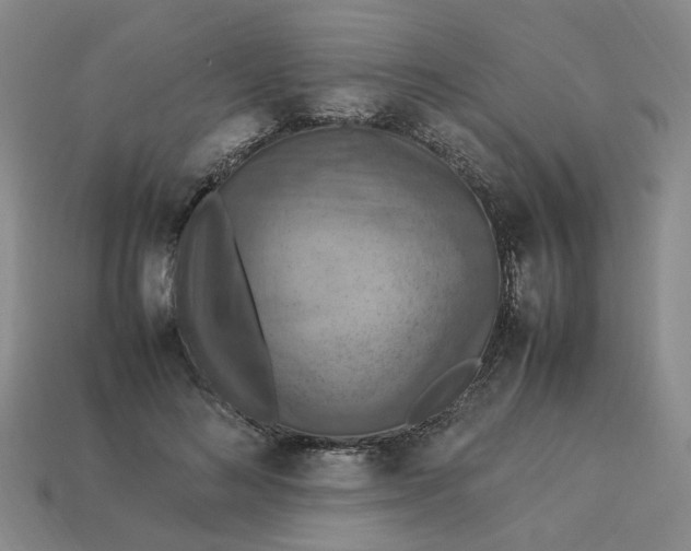 X0000113310692200910051104