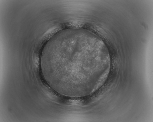 X0000113310693200910051104