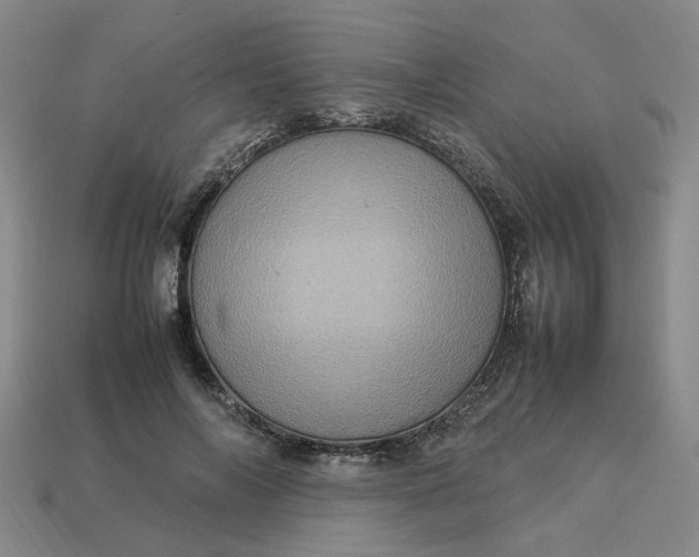 X0000113310694200910051104