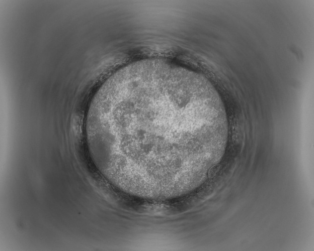 X0000113310695200910051104