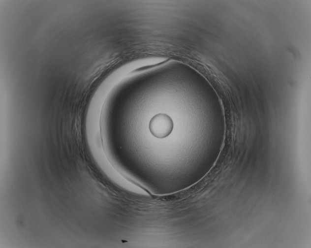 X0000113310696200910051104