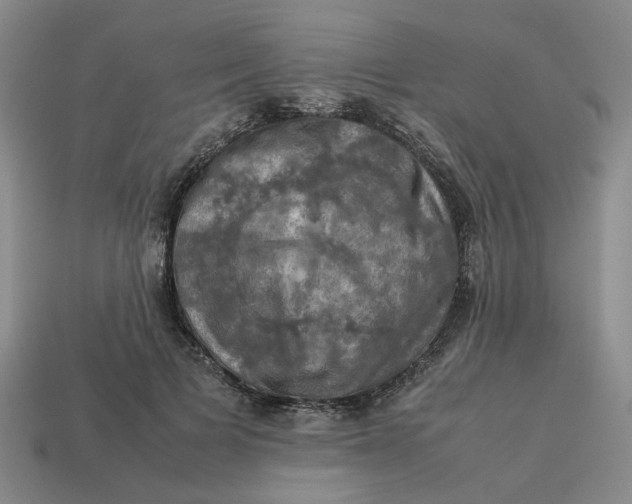 X0000113310697200910051104