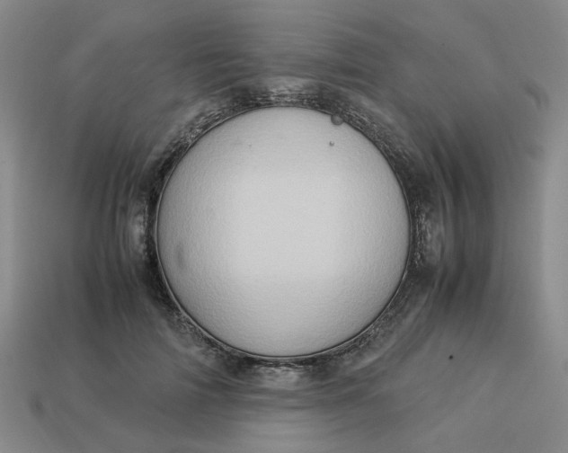 X0000113310698200910051104