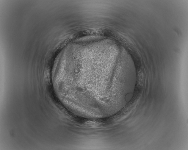 X0000113310699200910051104