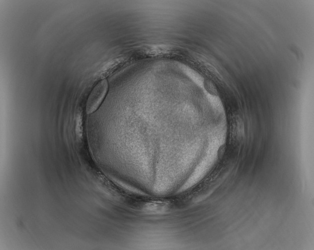 X0000113310700200910051104