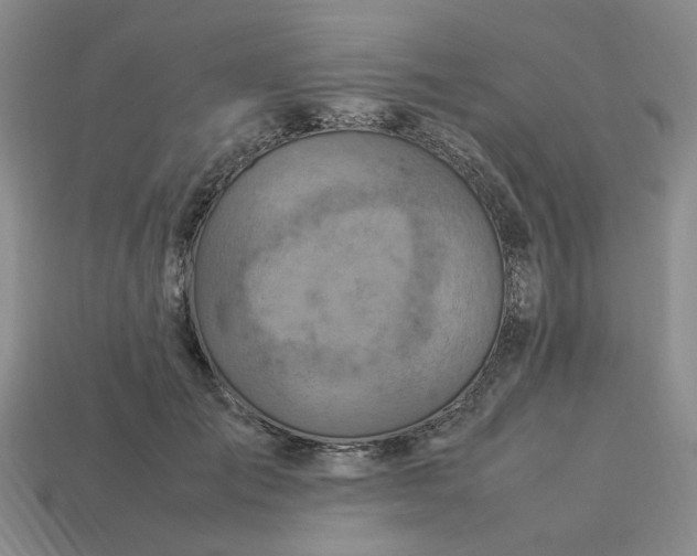 X0000113310701200910051104