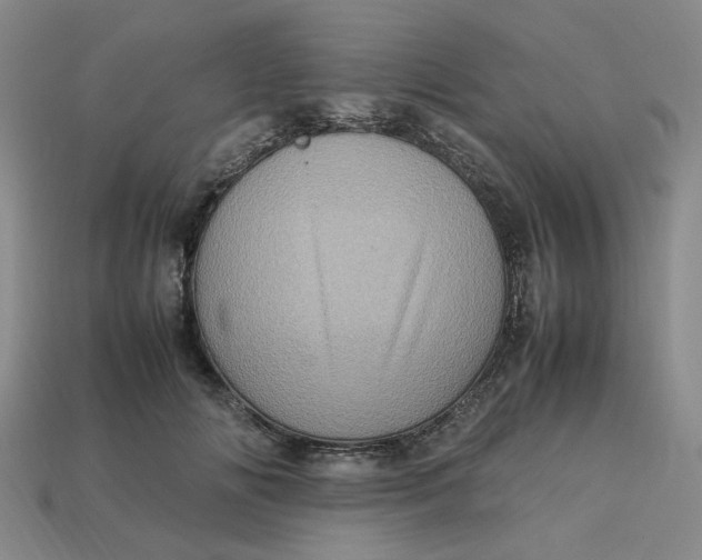 X0000113310702200910051104