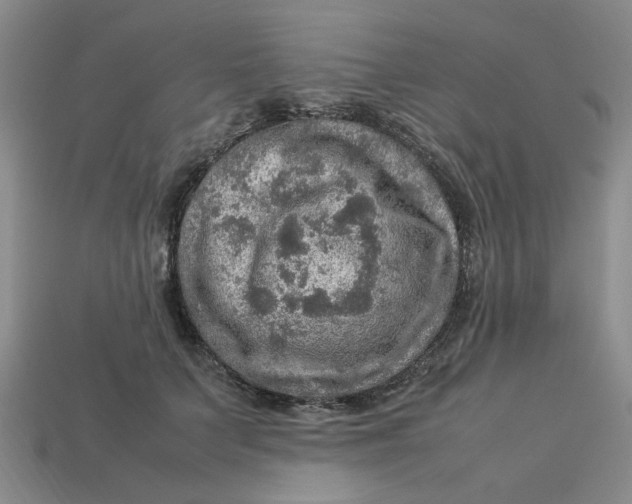 X0000113310703200910051104