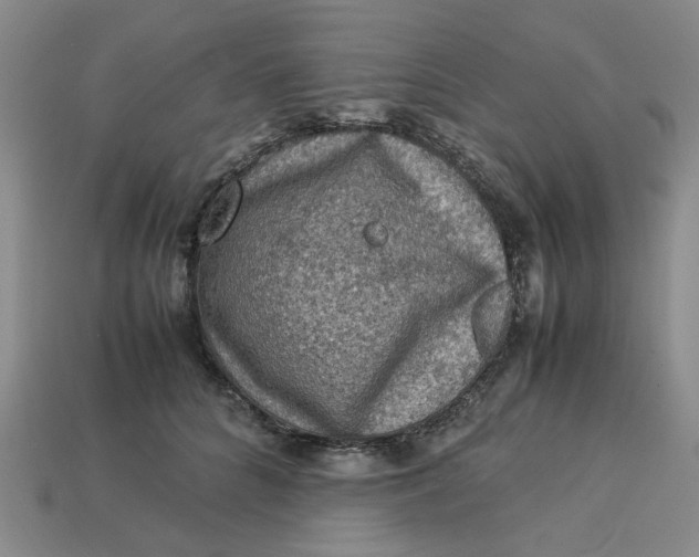 X0000113310704200910051104