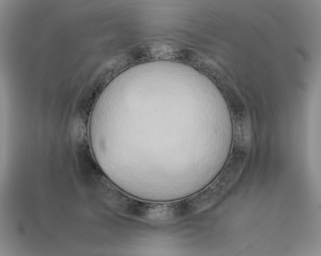 X0000113310705200910051104