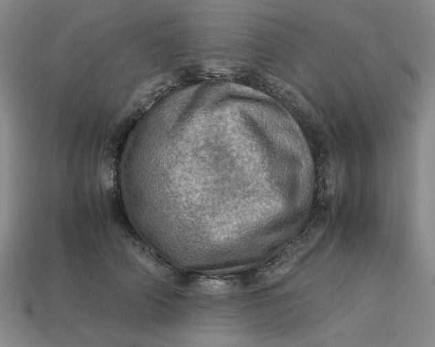 X0000113310706200910051104