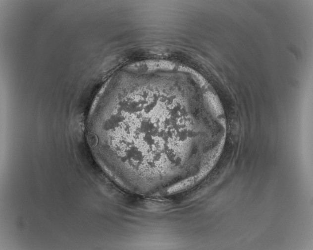 X0000113310707200910051104