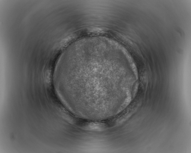 X0000113310708200910051104