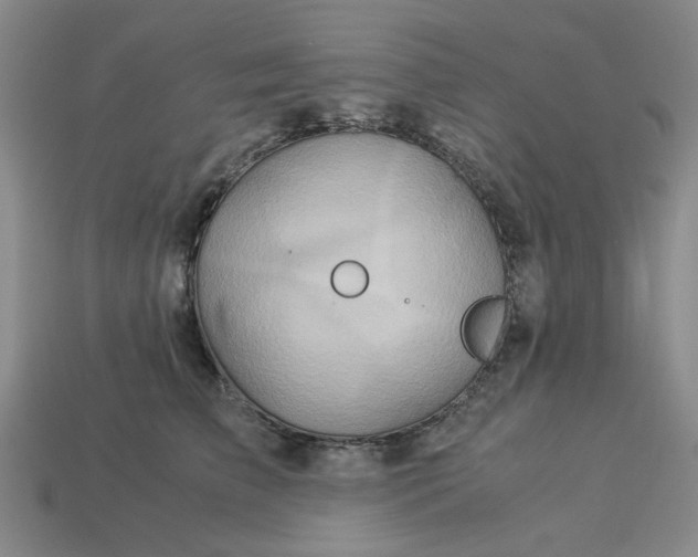 X0000113310709200910051104