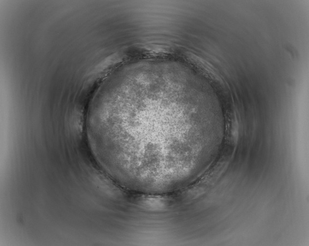 X0000113310710200910051104