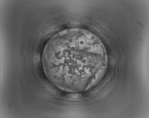 X0000113310711200910051104