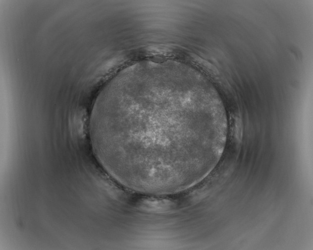 X0000113310712200910051104