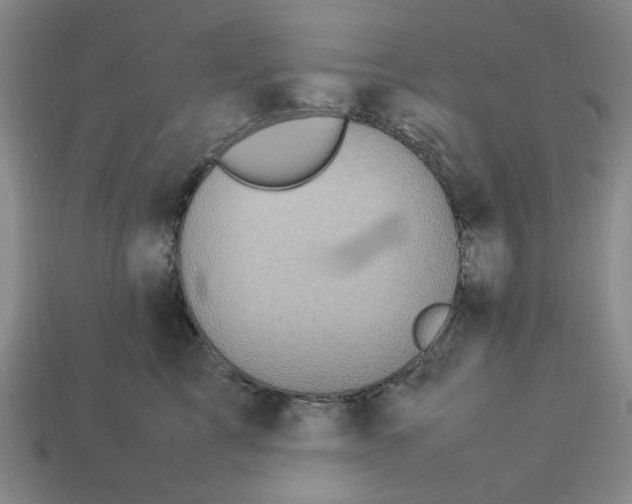 X0000113310713200910051104