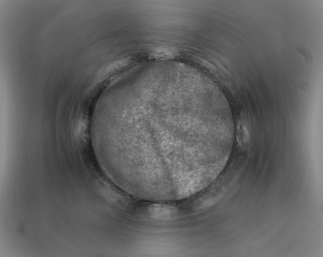 X0000113310714200910051104