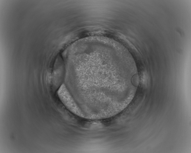 X0000113310715200910051104