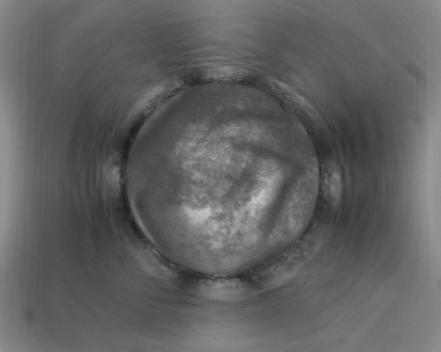 X0000113310716200910051104