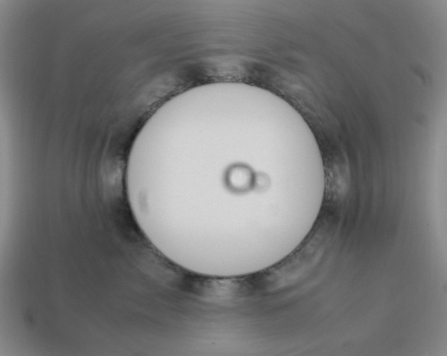 X0000113310717200910051104