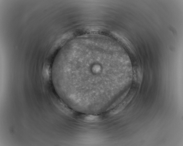 X0000113310718200910051104