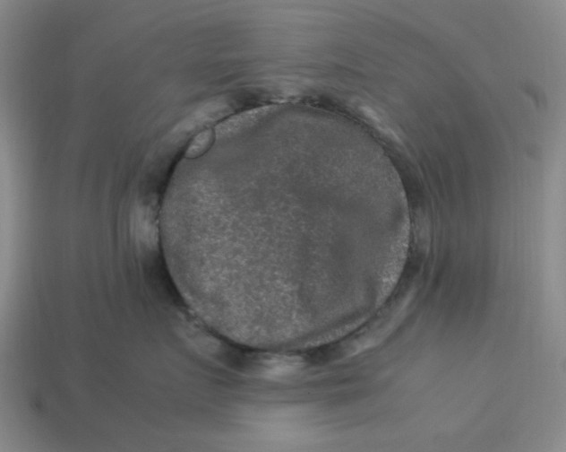 X0000113310719200910051104