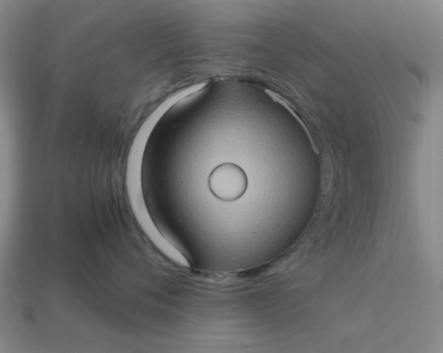 X0000113310720200910051104