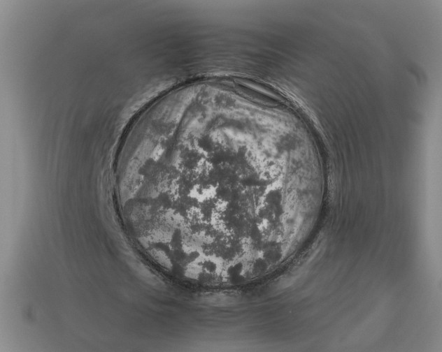 X0000113310721200910051103