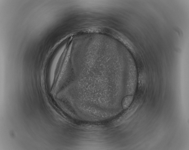 X0000113310722200910051104