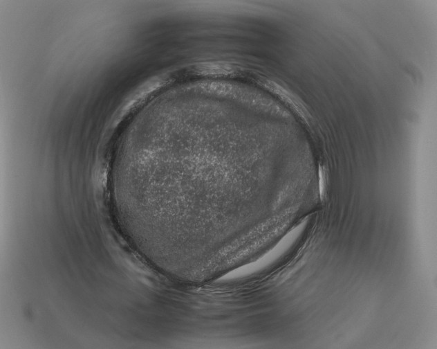 X0000113310723200910051104