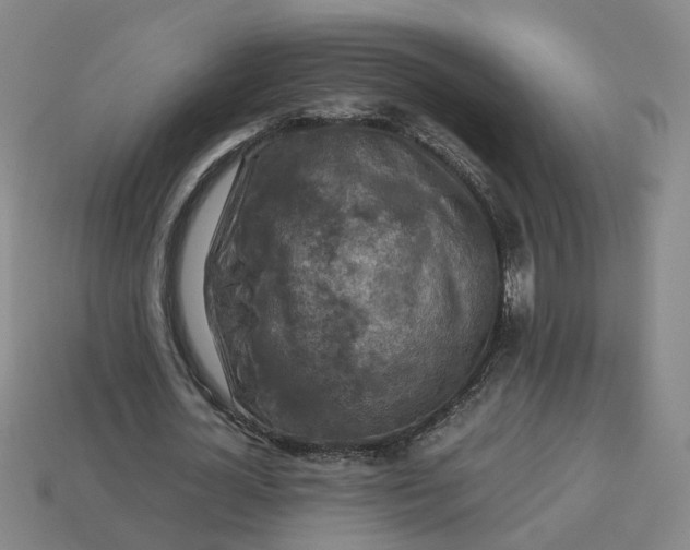 X0000113310724200910051104